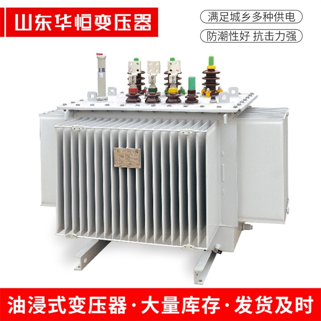 S13-10000/35雅江雅江雅江电力变压器